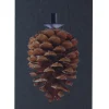 FibroTech Akustikpaneler & Tilbehør|Akustikbillede Art-Acoustic koglen 60 x 120 cm - mørk grå