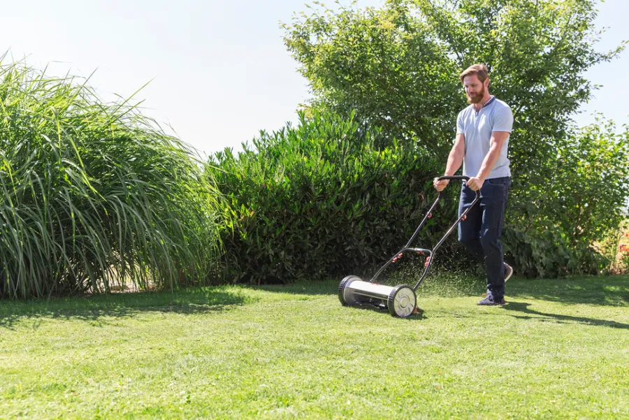 AL-KO Plæneklippere|Easy 38-5 Combi cylinderklipper m/opsamler