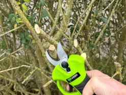 Garden® Beskæring|Beskæresaks akku 21 V 2,0 Ah -