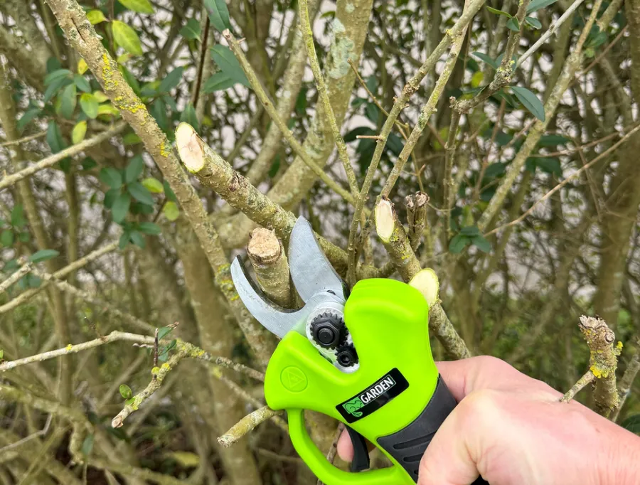 Garden® Beskæring|Beskæresaks akku 21 V 2,0 Ah -