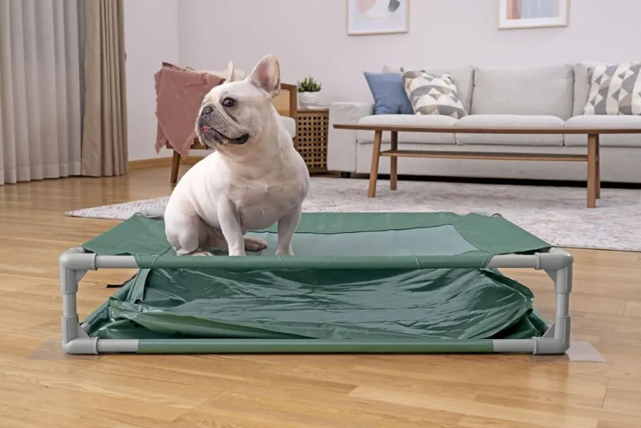 Bestway Hunde- Og Katteartikler|Fetchin' Fun legepool og seng