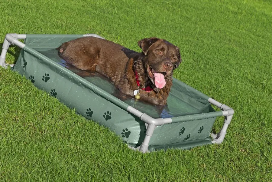 Bestway Hunde- Og Katteartikler|Fetchin' Fun legepool og seng