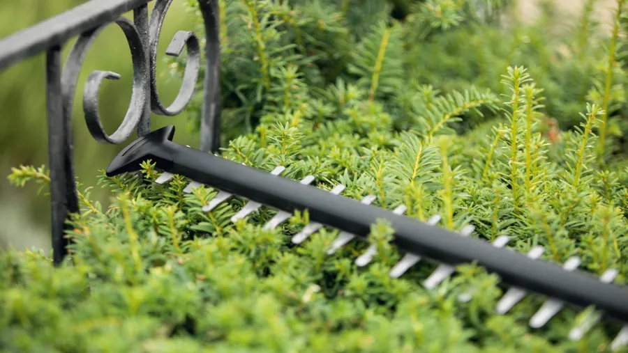 Bosch Hækkeklippere|UniversalHedgeCut 18-50 hækkeklipper akku