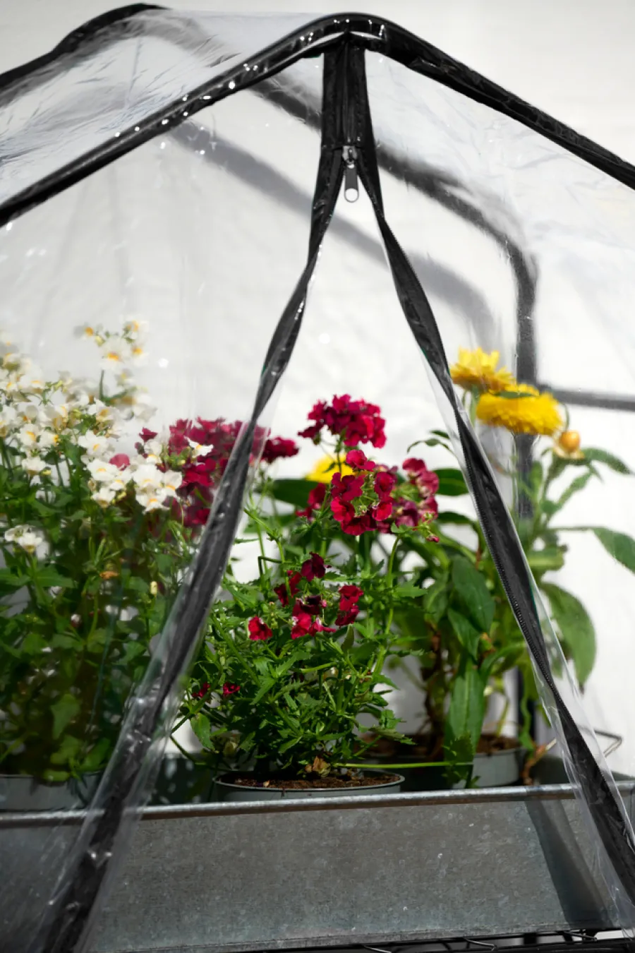 Garden® Drivhuse Og Vægdrivhuse|Drivhus 59 x 39 x 126 cm -
