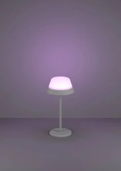 Eglo Udendørslamper|Bordlamper|Meggiano bordlampe genopladelig Grå
