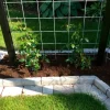 Rionet|Galvaniseret armeringsnet - 5 mm