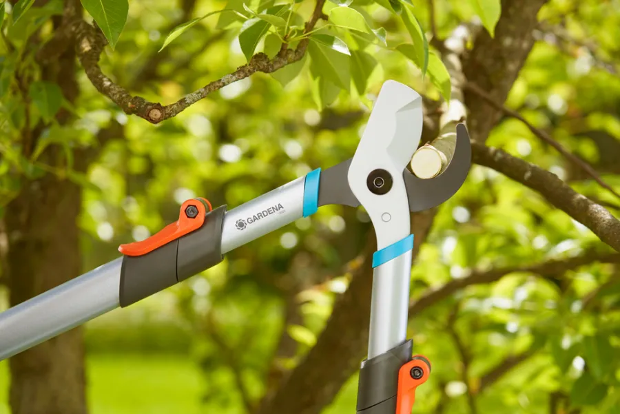 GARDENA Beskæring|grensaks TeleCut Basic