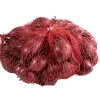 Grønne Fingre® Løg|stikløg rødløg 'Red Baron' 250 g