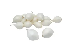 Grønne Fingre® Løg|stikløg salatløg Snowball 250 g