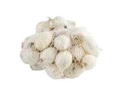 Grønne Fingre® Løg|stikløg salatløg Snowball 250 g