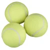 PetZone Hunde- Og Katteartikler|Hundelegetøj tennisbold med lyd 3-pk. -