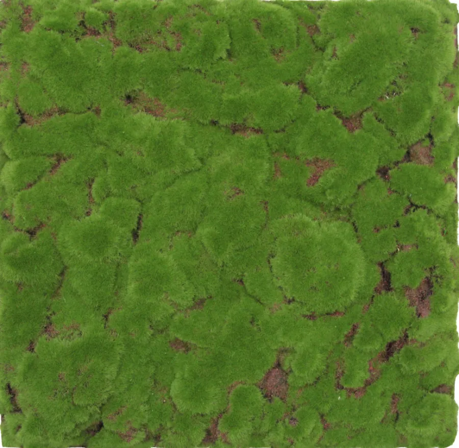 Jangal Grønne Vægpaneler|Akustikpaneler & Tilbehør|Modular Wall mospanel 52 x 52 cm - Forrest Green Bulk