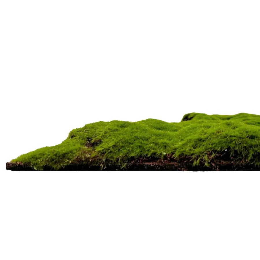 Jangal Grønne Vægpaneler|Akustikpaneler & Tilbehør|Modular Wall mospanel 52 x 52 cm - Forrest Green Bulk