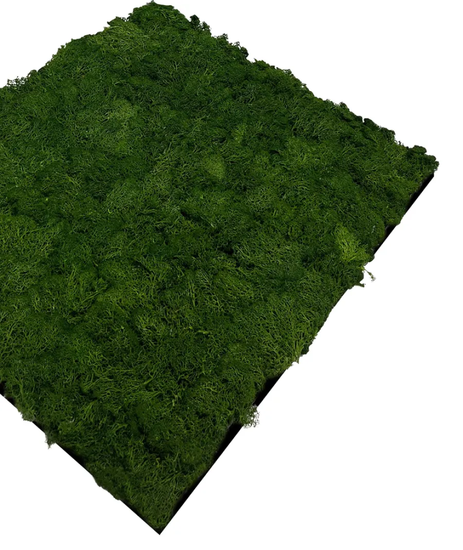 Jangal Grønne Vægpaneler|Akustikpaneler & Tilbehør|Modular Wall mospanel 52 x 52 cm - Dark Green Dark Green Moss