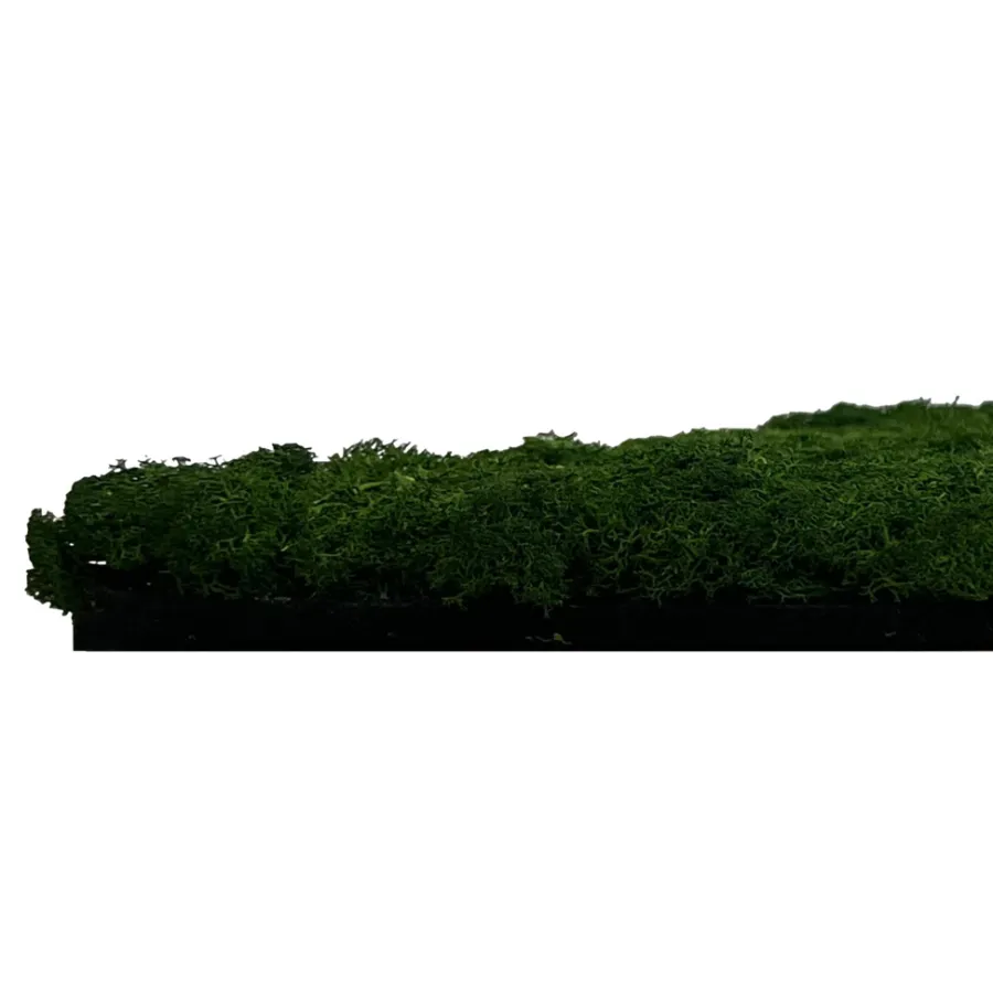 Jangal Grønne Vægpaneler|Akustikpaneler & Tilbehør|Modular Wall mospanel 52 x 52 cm - Dark Green Dark Green Moss