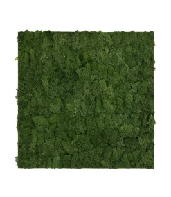 Jangal Grønne Vægpaneler|Akustikpaneler & Tilbehør|Modular Wall mospanel 52 x 52 cm - Dark Green Dark Green Moss