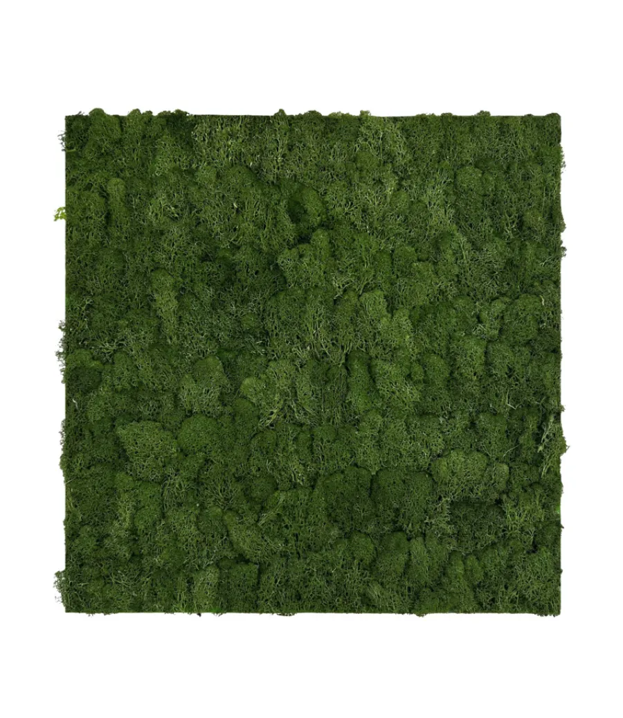 Jangal Grønne Vægpaneler|Akustikpaneler & Tilbehør|Modular Wall mospanel 52 x 52 cm - Dark Green Dark Green Moss