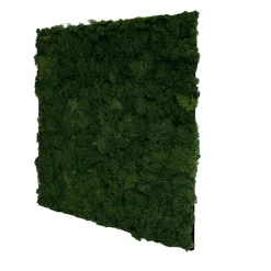 Jangal Grønne Vægpaneler|Akustikpaneler & Tilbehør|Modular Wall mospanel 52 x 52 cm - Dark Green Dark Green Moss