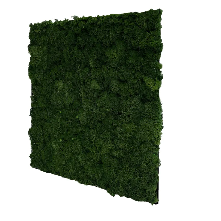 Jangal Grønne Vægpaneler|Akustikpaneler & Tilbehør|Modular Wall mospanel 52 x 52 cm - Dark Green Dark Green Moss