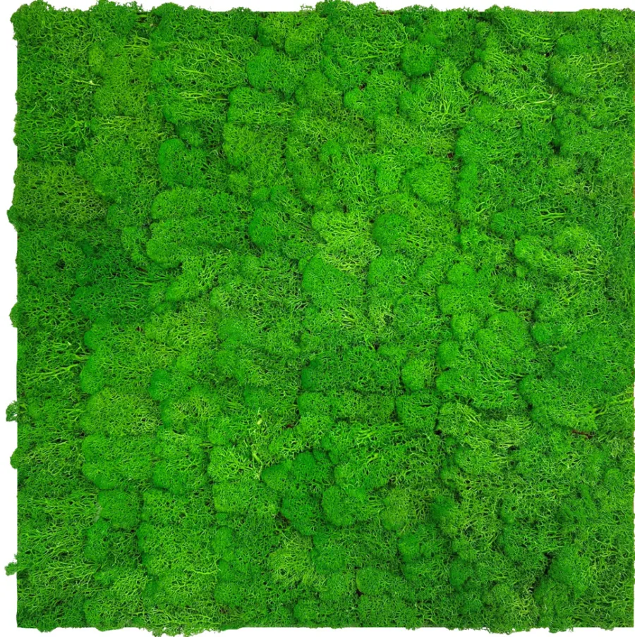 Jangal Grønne Vægpaneler|Akustikpaneler & Tilbehør|Modular Wall mospanel 52 x 52 cm - Rich Green Rich Green Moss