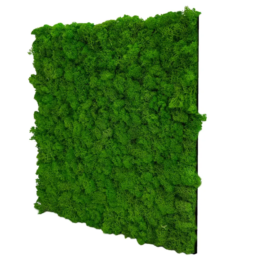 Jangal Grønne Vægpaneler|Akustikpaneler & Tilbehør|Modular Wall mospanel 52 x 52 cm - Rich Green Rich Green Moss