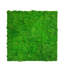 Jangal Grønne Vægpaneler|Akustikpaneler & Tilbehør|Modular Wall mospanel 52 x 52 cm - Rich Green Rich Green Moss