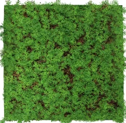 Jangal Grønne Vægpaneler|Akustikpaneler & Tilbehør|Modular Wall plantepanel 52 x 52 cm - Thuja