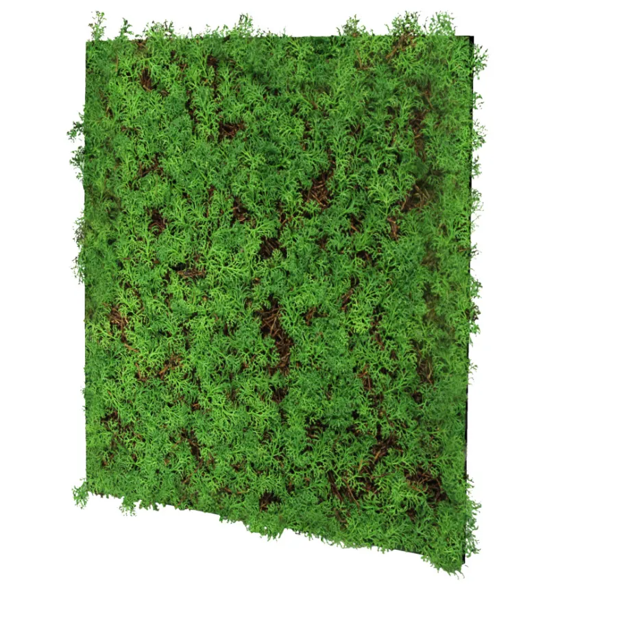 Jangal Grønne Vægpaneler|Akustikpaneler & Tilbehør|Modular Wall plantepanel 52 x 52 cm - Thuja