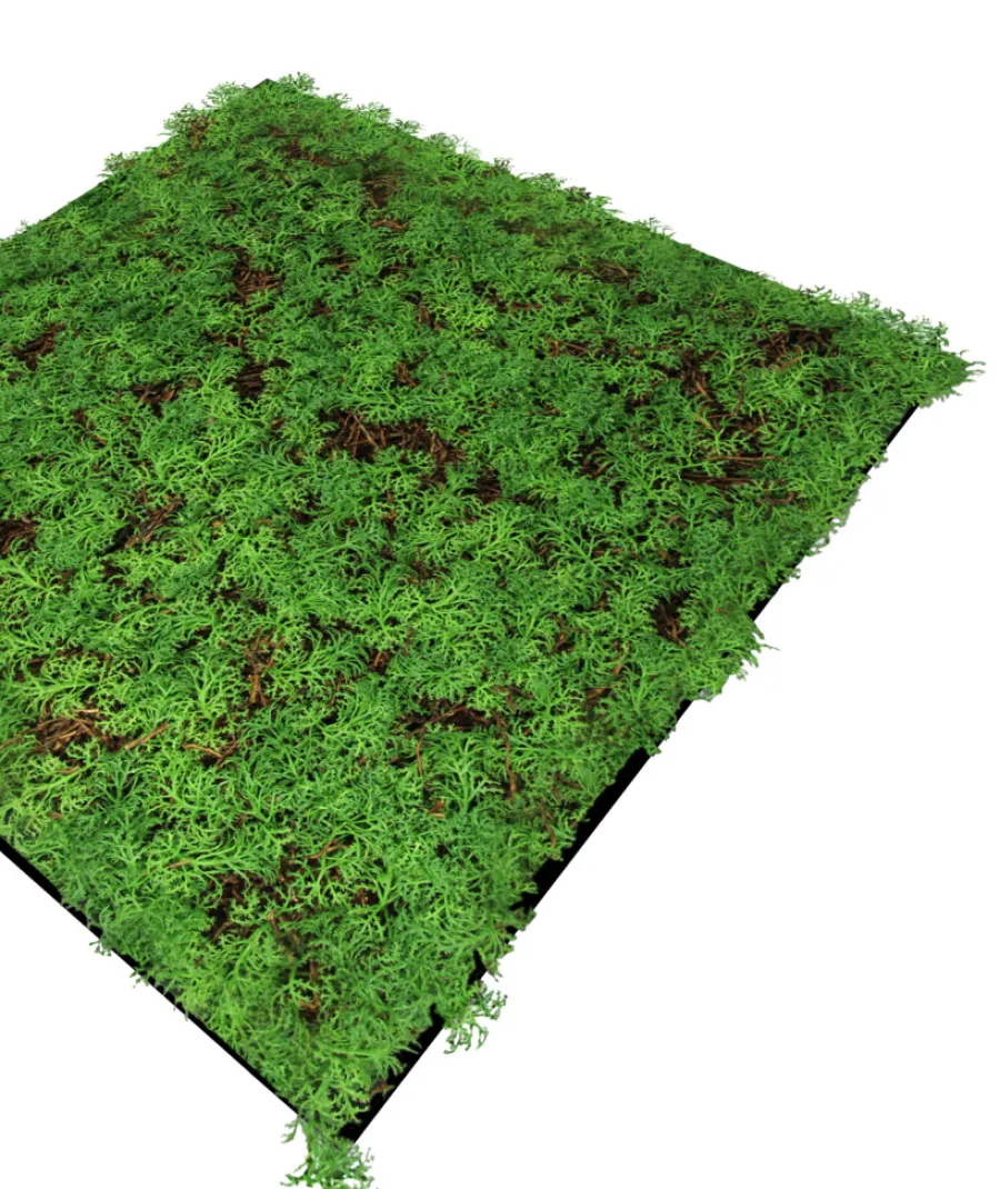 Jangal Grønne Vægpaneler|Akustikpaneler & Tilbehør|Modular Wall plantepanel 52 x 52 cm - Thuja