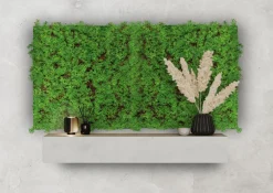 Jangal Grønne Vægpaneler|Akustikpaneler & Tilbehør|Modular Wall plantepanel 52 x 52 cm - Thuja