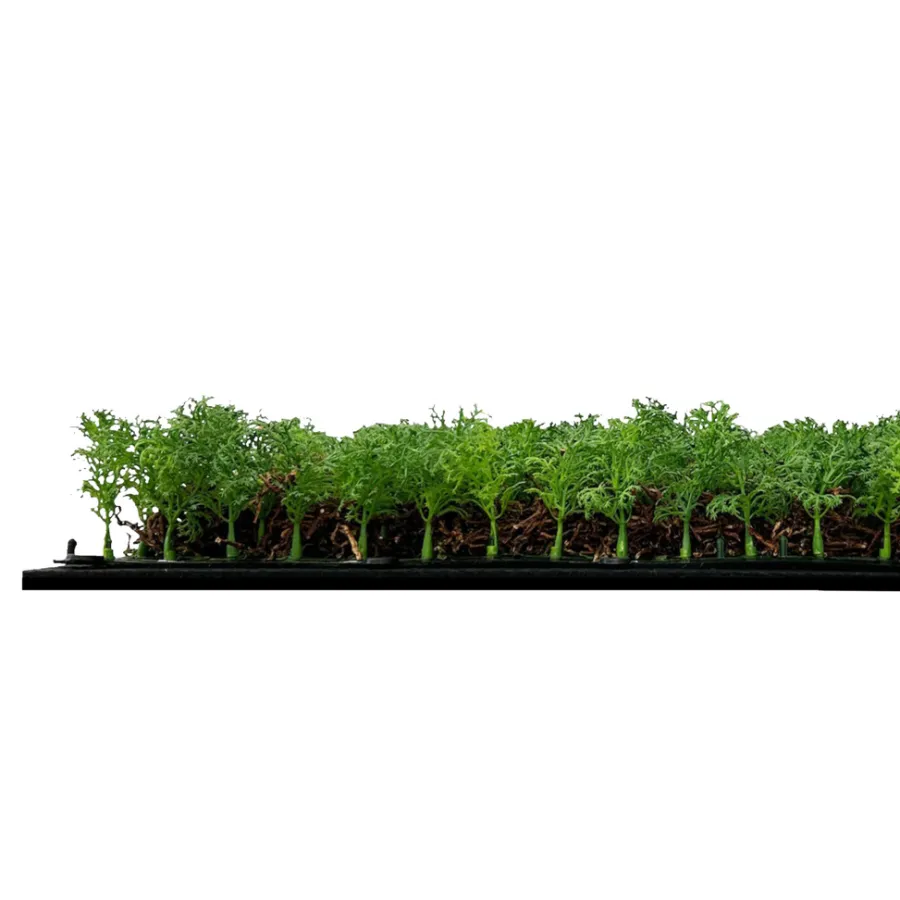 Jangal Grønne Vægpaneler|Akustikpaneler & Tilbehør|Modular Wall plantepanel 52 x 52 cm - Thuja