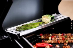 Grillexpert® Kulgrill & Briketter|Gasgrill|Kombigrill til gas og kul - Sort