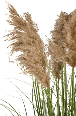 Sæsonafslutning|Kunstige Planter|Kunstgræs med ægte pampas 120 cm