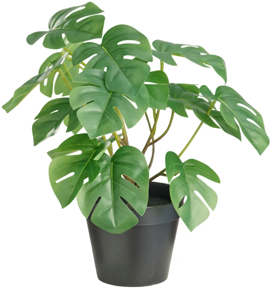 DAY Sæsonafslutning|Kunstige Planter|Kunstig monstera i potte H32 cm -