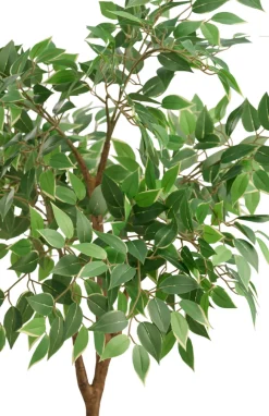 DAY Sæsonafslutning|Kunstige Planter|Kunstigt ficus træ H125 cm udendørs -