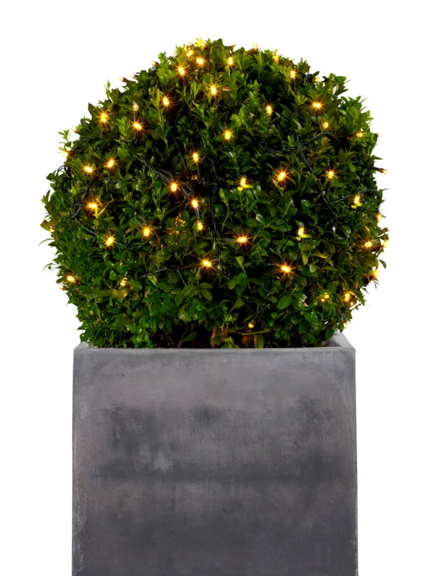 Stemning® Dekorativ Belysning - Udendørs|Lysnet Basis 100 LED m/timer 1 x 1,8 meter