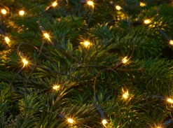 Stemning® Dekorativ Belysning - Udendørs|Lysnet Basis 100 LED m/timer 1 x 1,8 meter