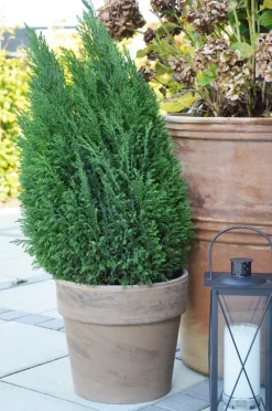Scan-Pot Krukker|Potte Calima jord Ø35 cm