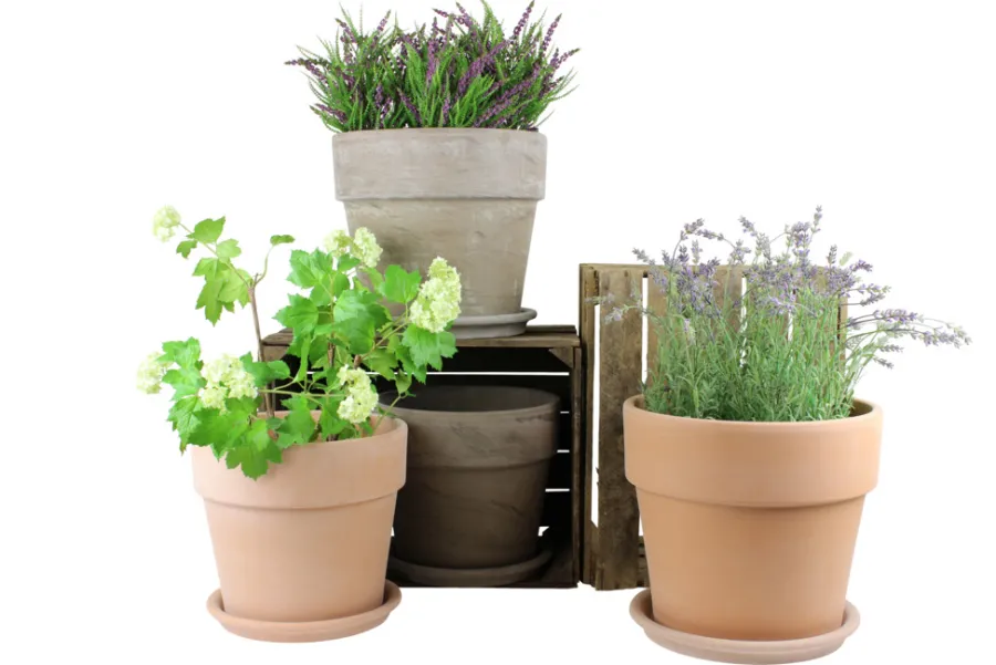 Scan-Pot Krukker|Potte Calima jord Ø31 cm