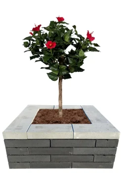 Betongruppen RBR Læ- & Støttemure|Topplade Nordic Wall grå 60 x 30 x 10 cm
