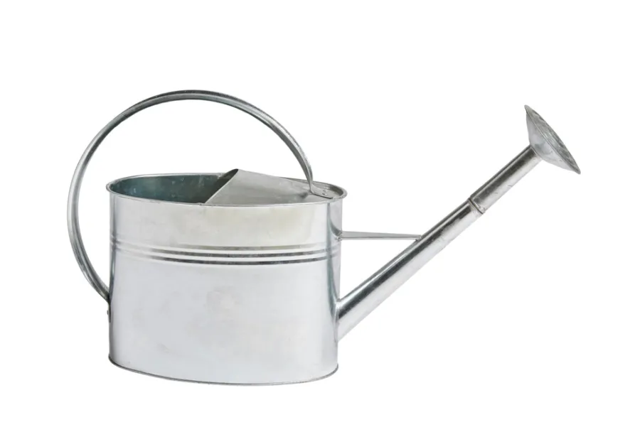 Garden® Havevanding|Vandkande 7 liter zink -