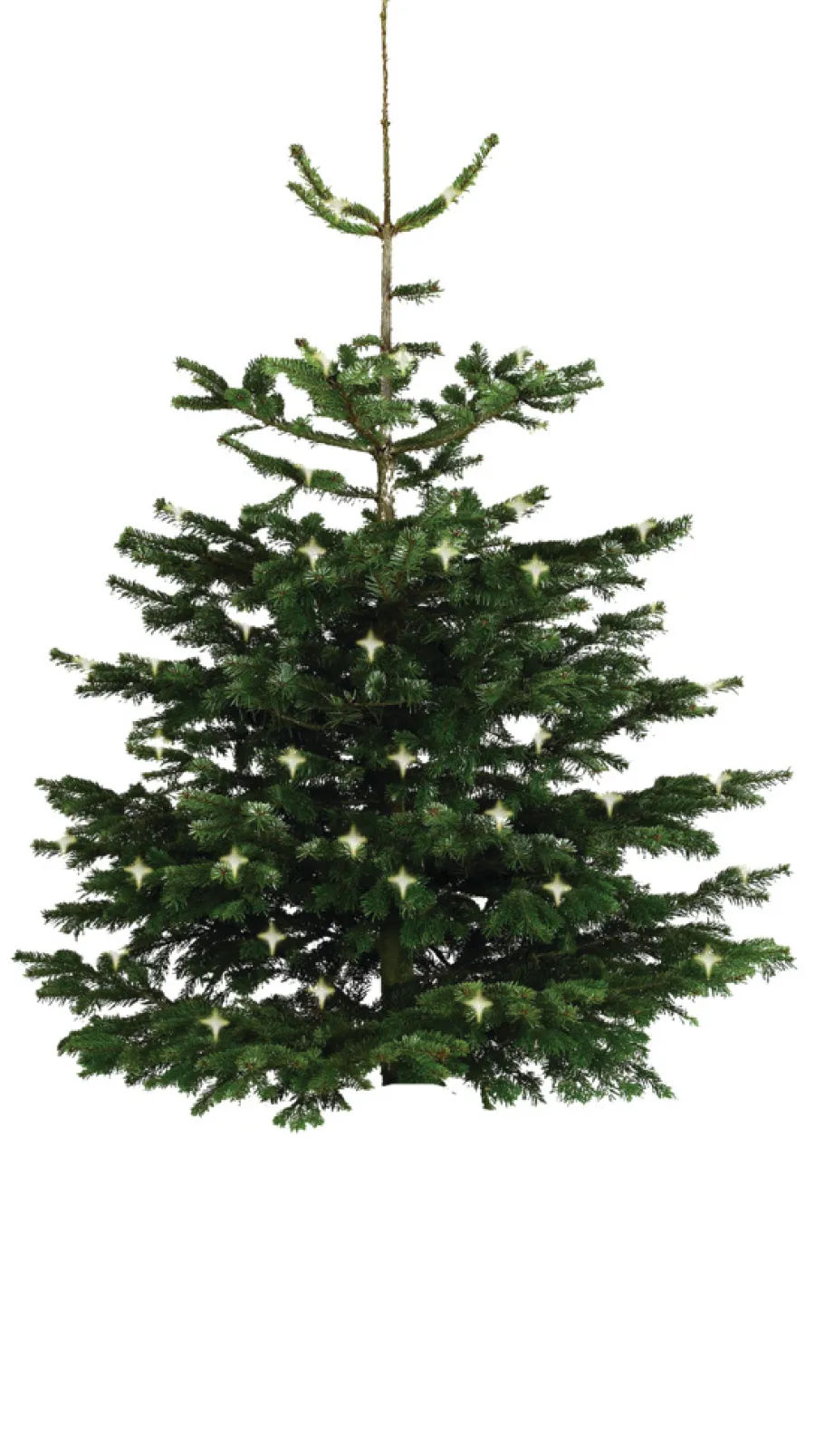 Scan-Pot Krukker|Planteborde & Højbede|Whiskytønde Ø64 cm